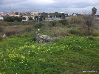 Basilica monte Po